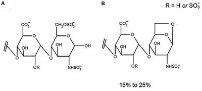 Therapeutic Potential of Enoxaparin in Lichen Planus: Exploring Reasons for Inconsistent Reports